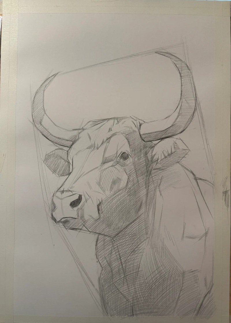 How to draw a Buffalo head 5