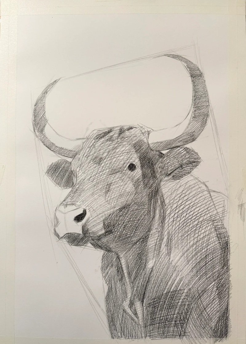 How to draw a Buffalo head 6