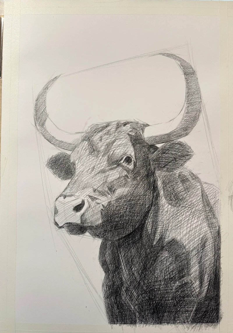 How to draw a Buffalo head 7