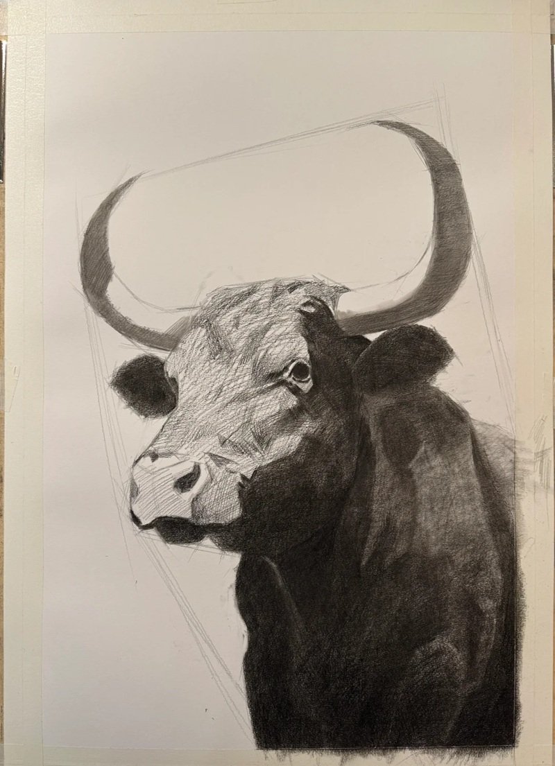 How to draw a Buffalo head 8