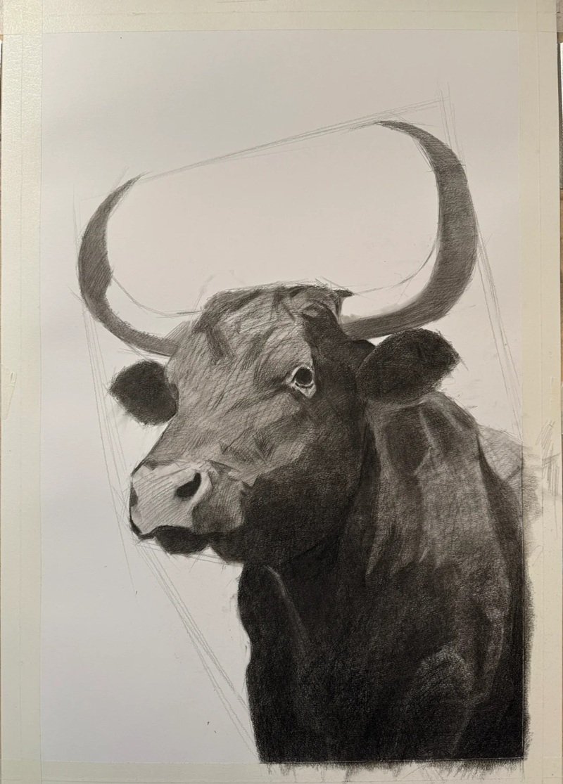 How to draw a Buffalo head 9