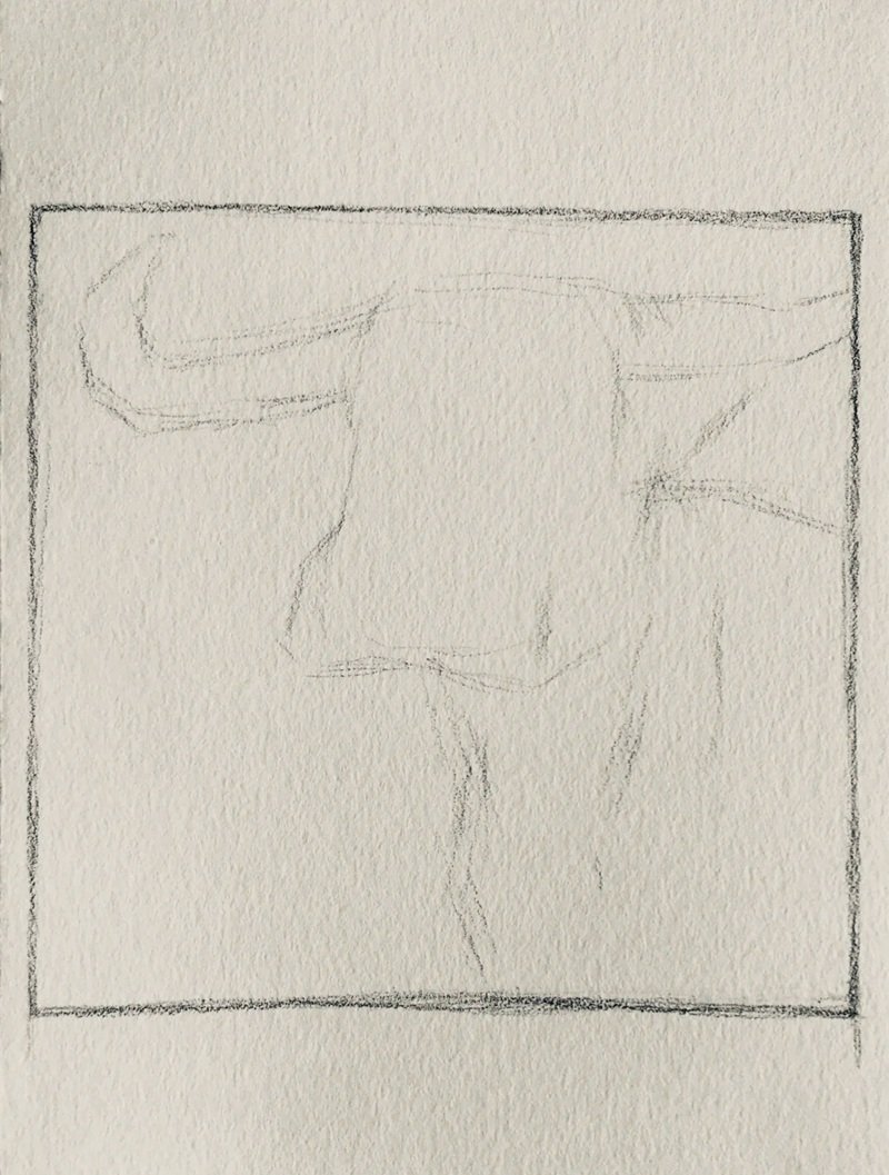 How to draw a Buffalo step by step 