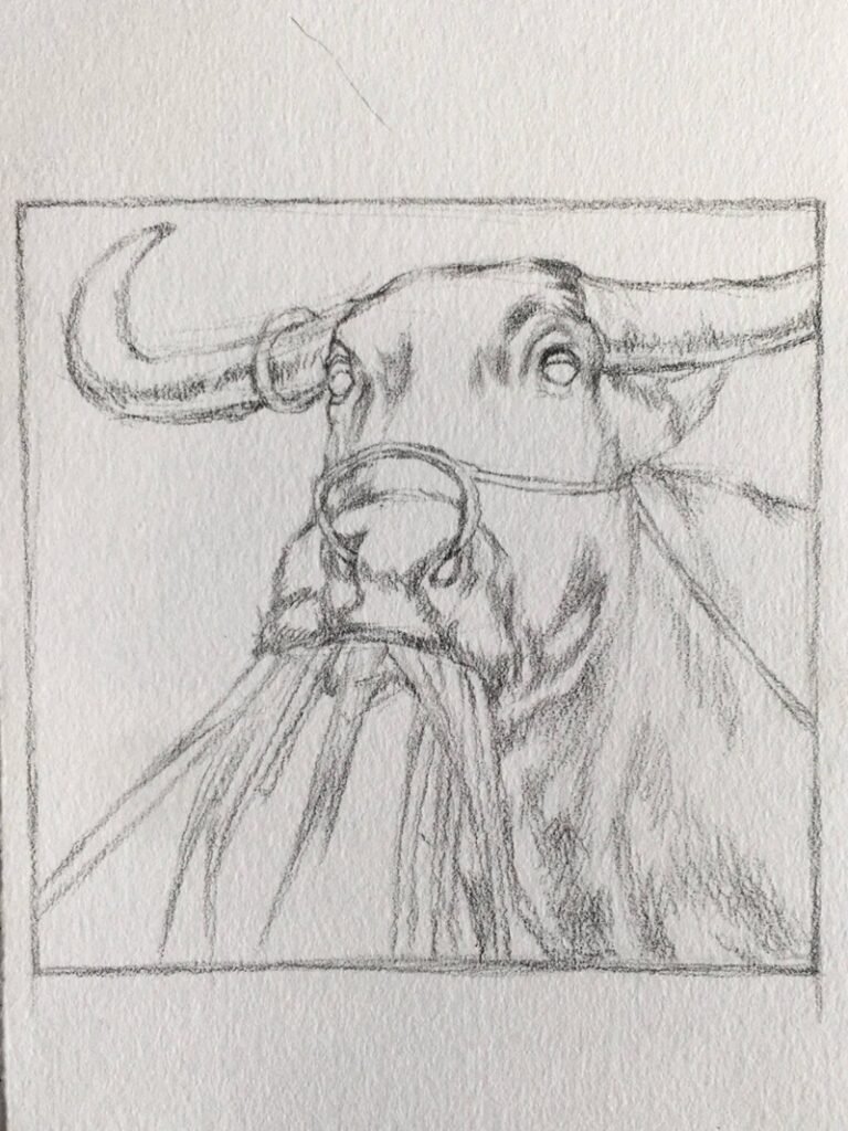 Top 7 Tips To Master How To Draw A Buffalo Like A Pro