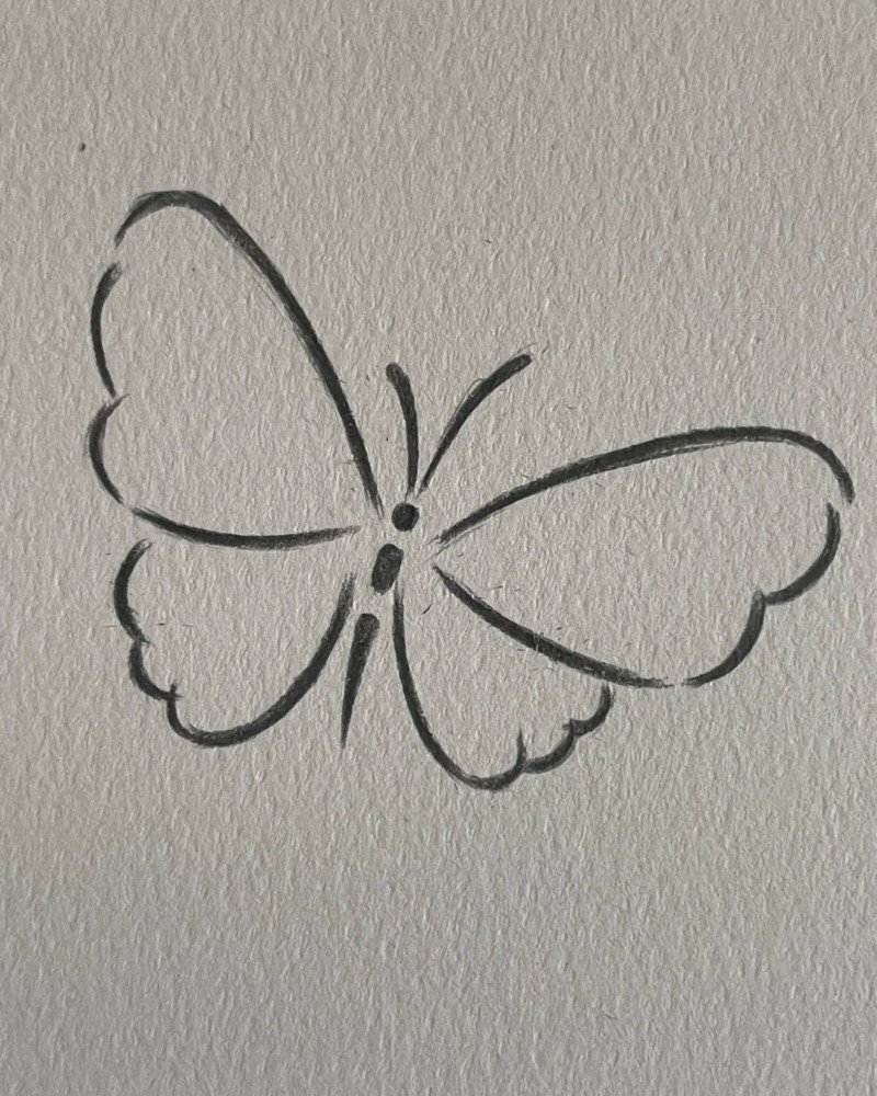 How to draw a butterfly step by step 4