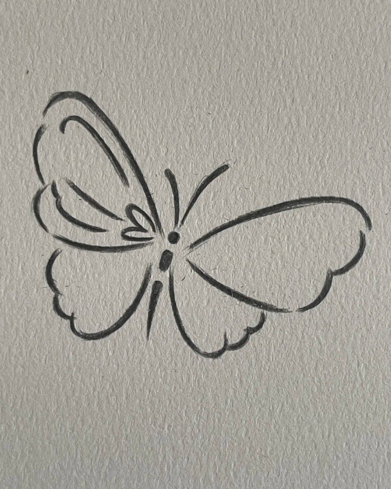 How to draw a butterfly step by step 5