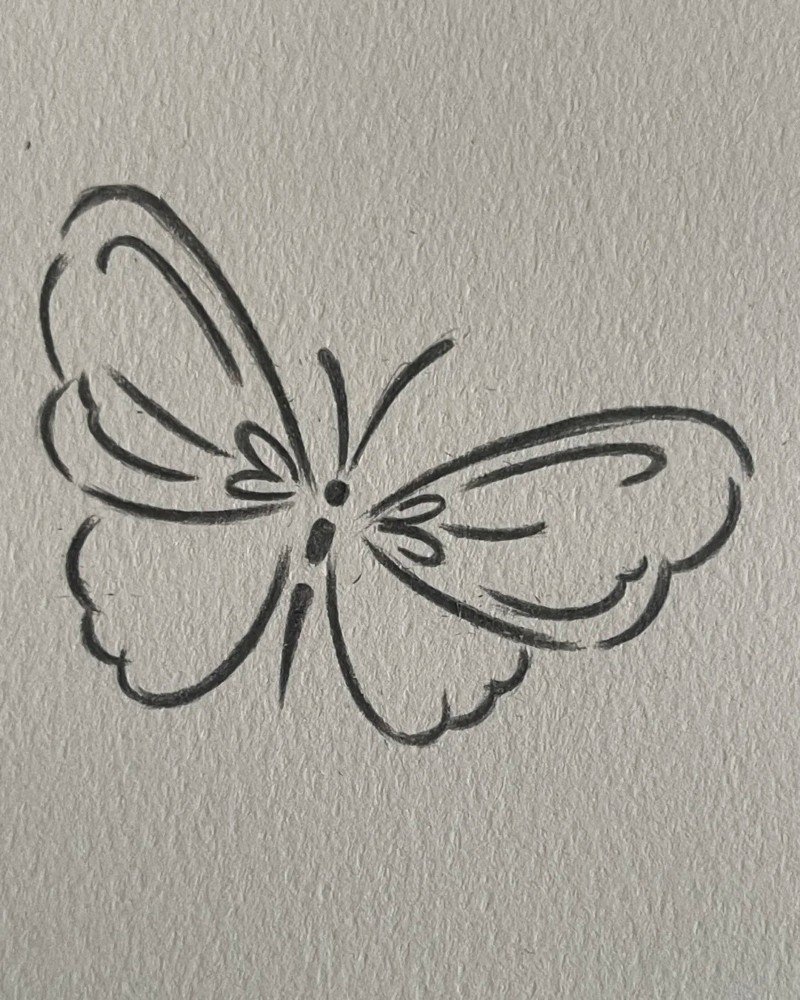 How to draw a butterfly step by step 6