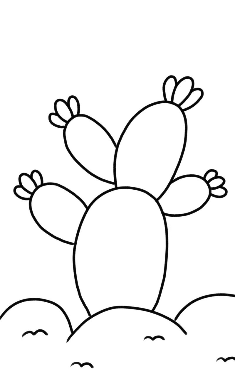How to draw a cactus plant 3