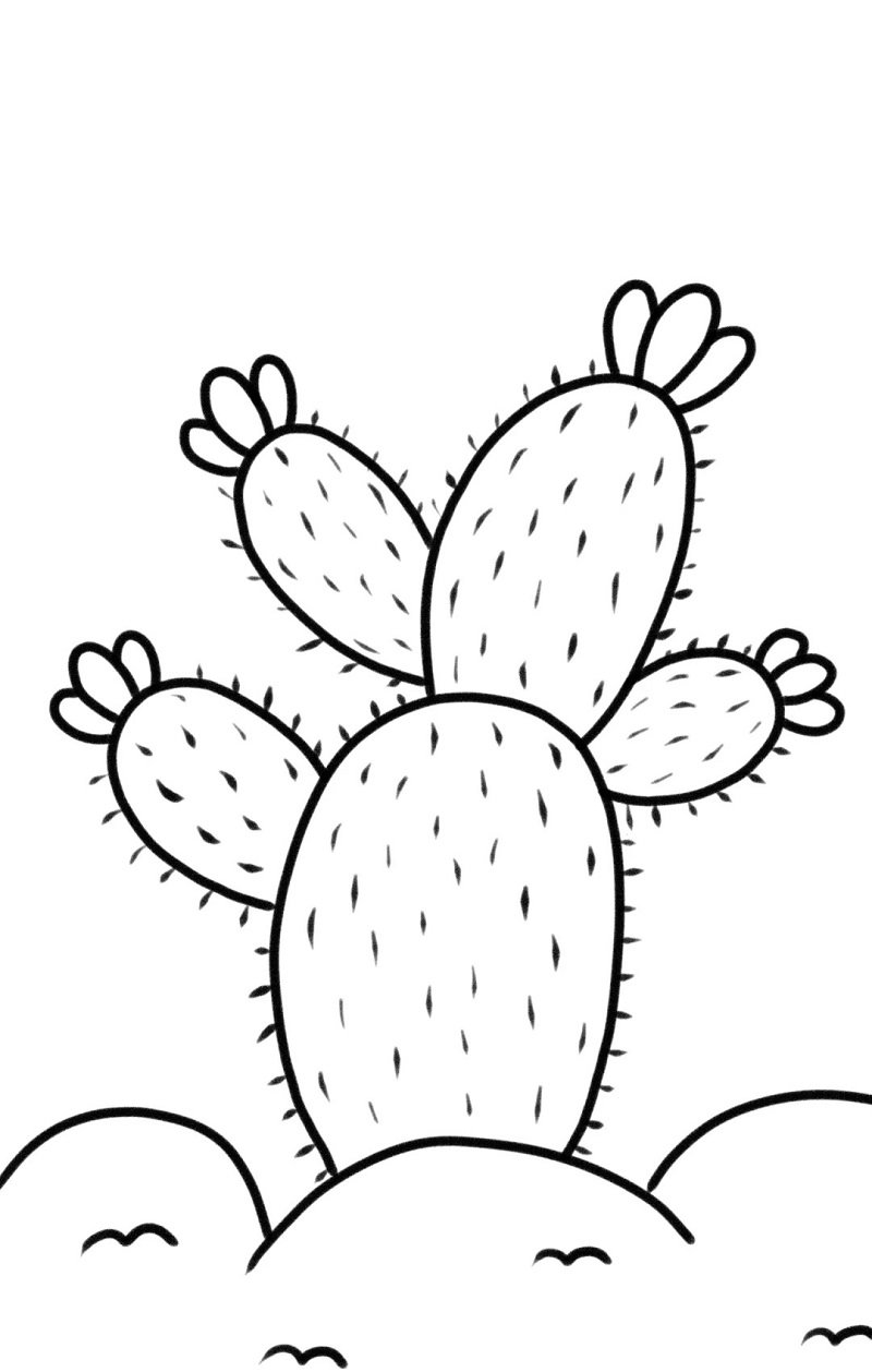 How to draw a cactus plant 4