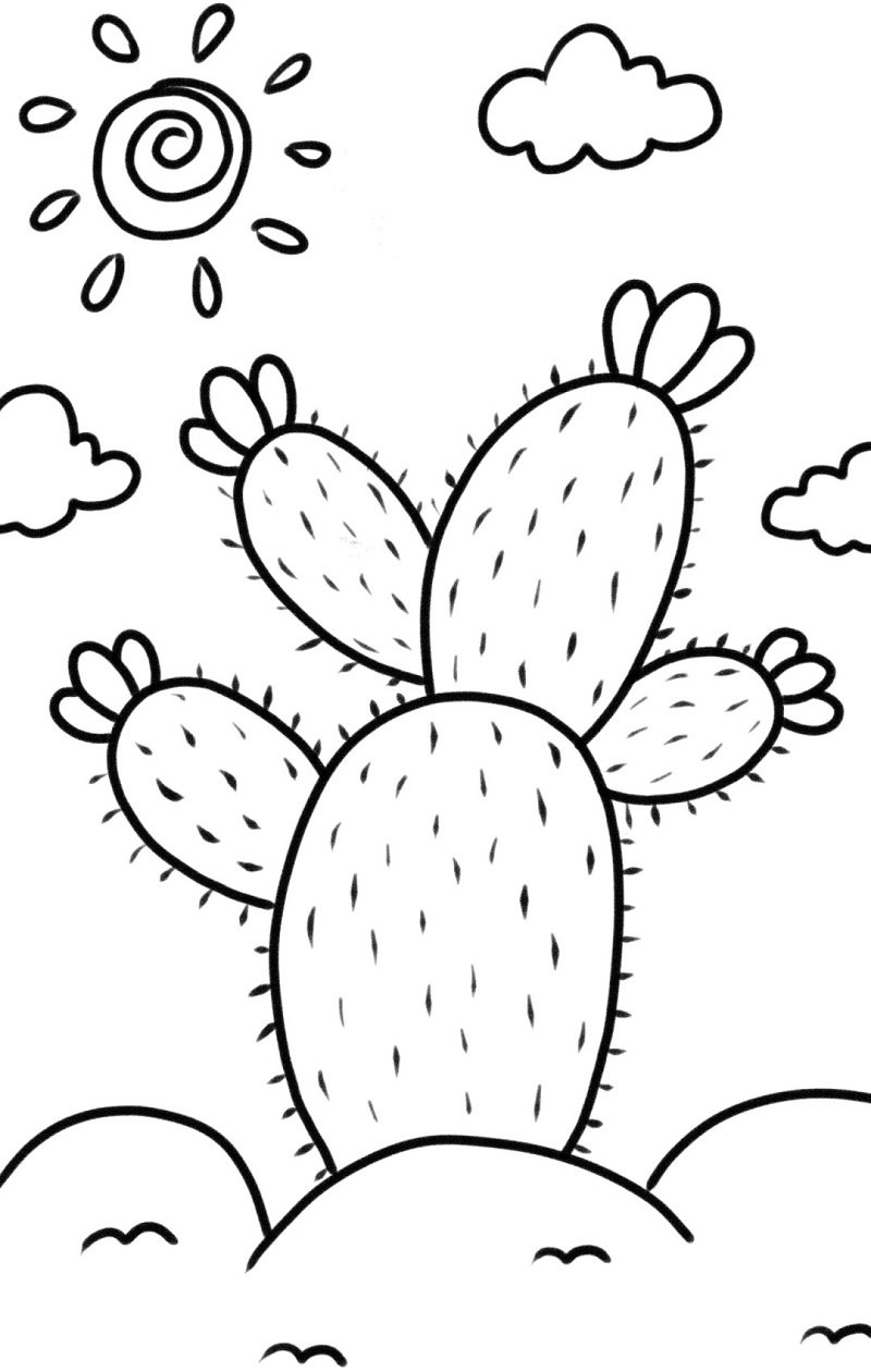How to draw a cactus plant 5