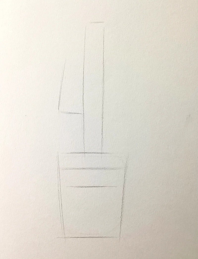 How to draw a cactus step by step 1