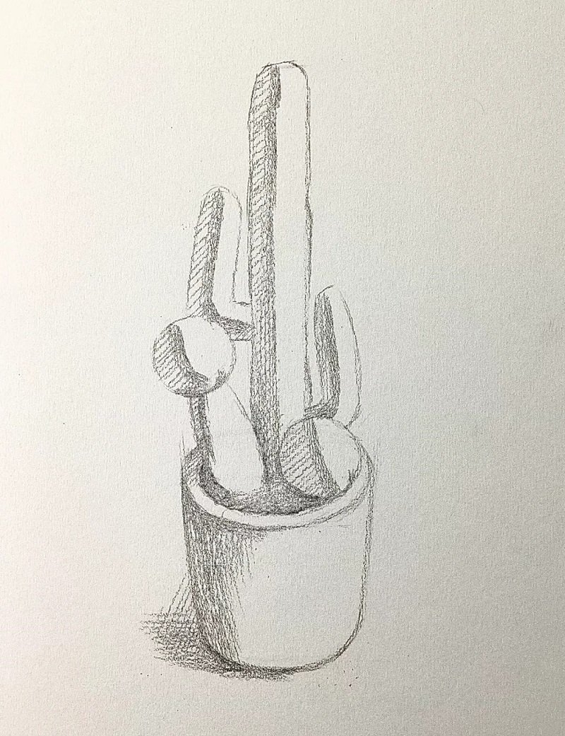 How to draw a cactus step by step 3