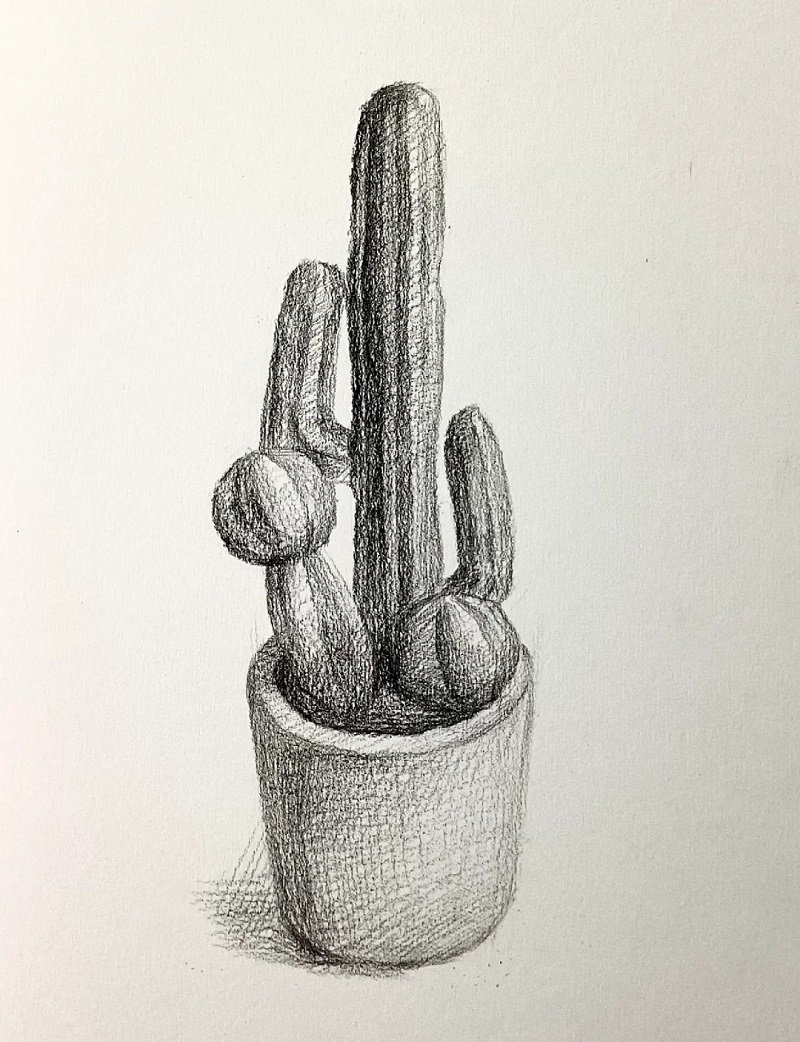 How to draw a cactus step by step 4