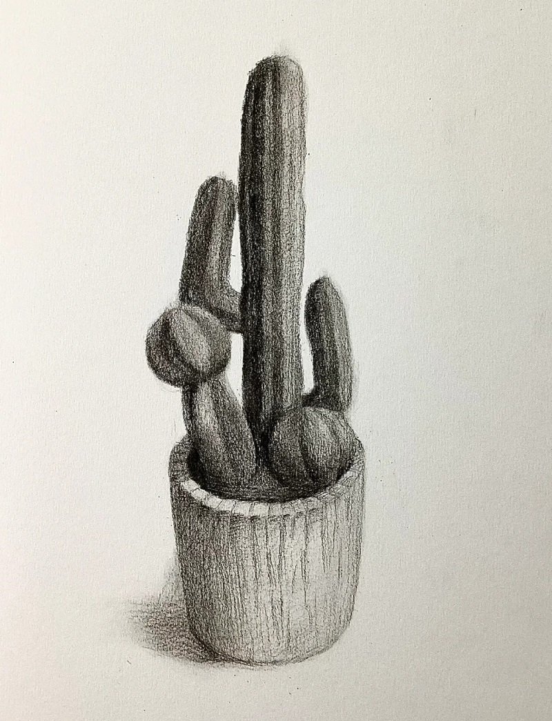 How to draw a cactus step by step 5