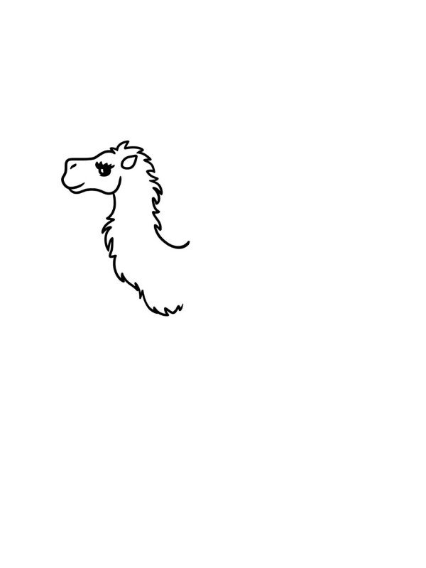 How to draw a Camel easy 3
