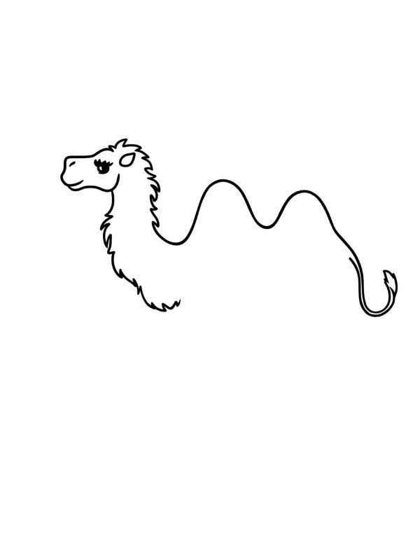 How to draw a Camel easy 4