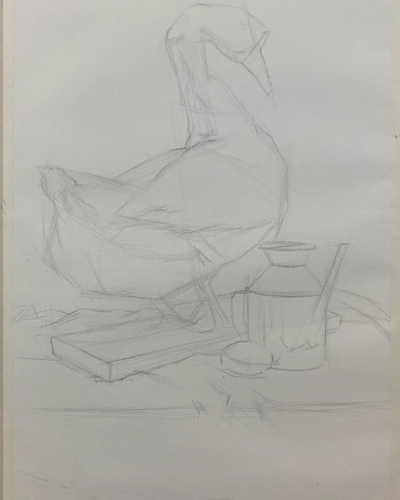 How to draw a canada goose 1