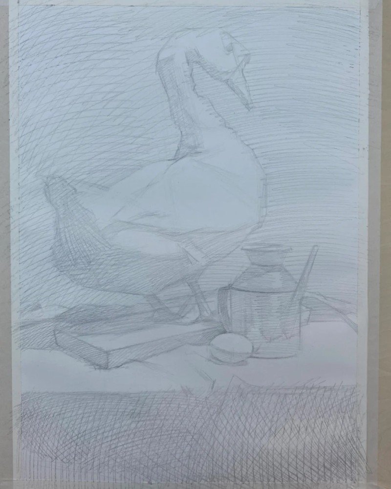 How to draw a canada goose 2
