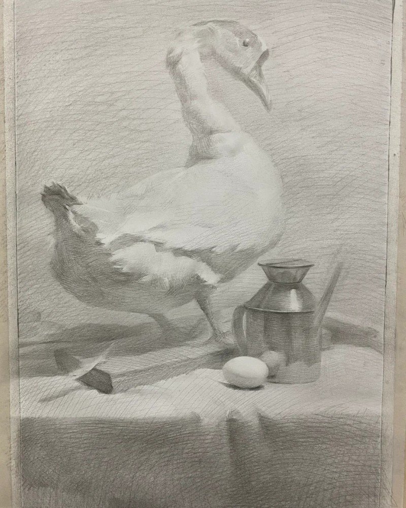How to draw a canada goose 4