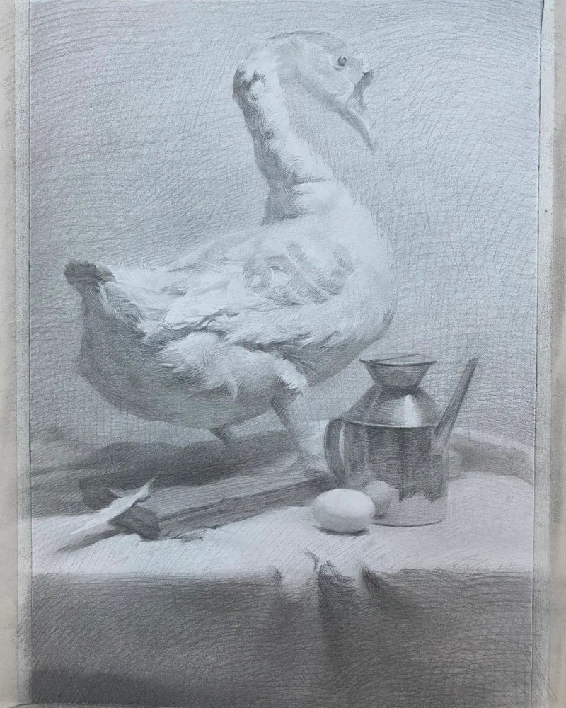 How to draw a canada goose 5