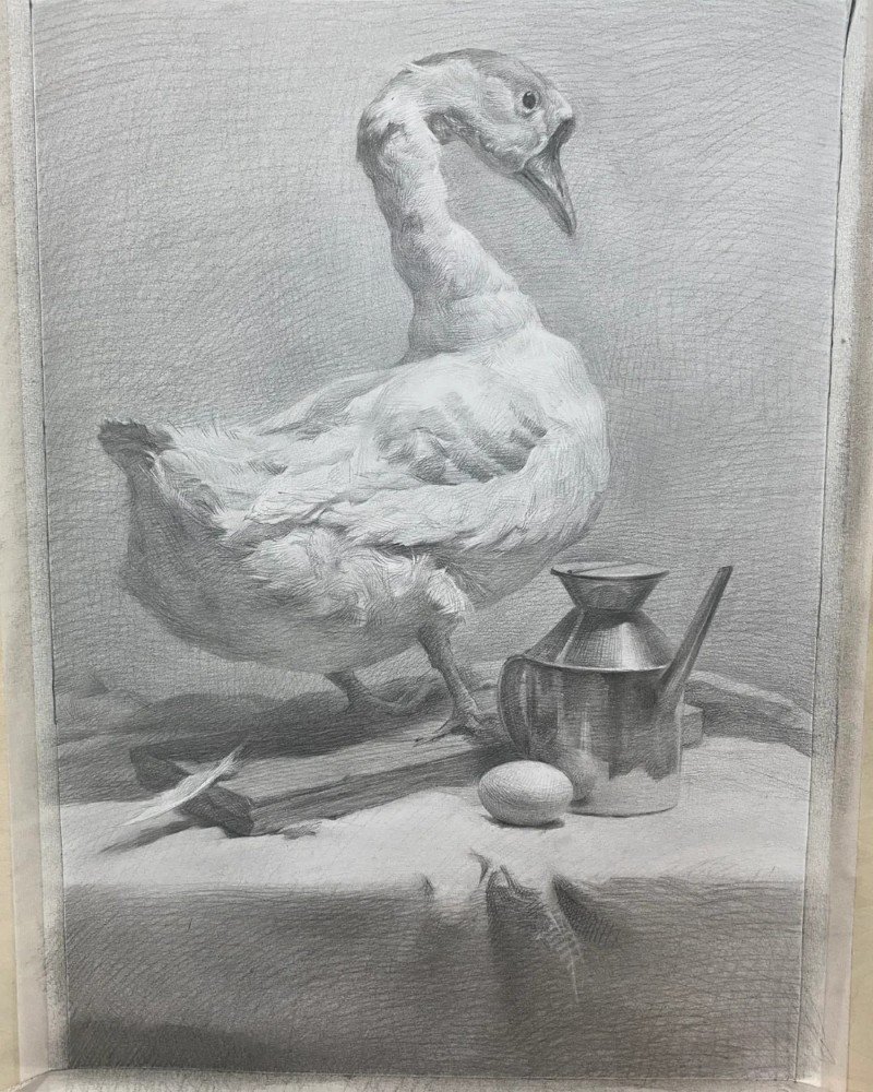 How to draw a canada goose 6
