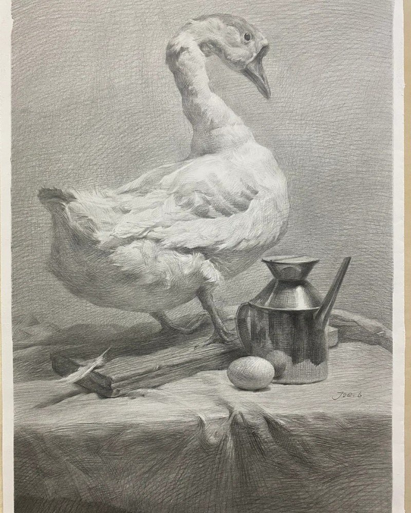 How to draw a canada goose