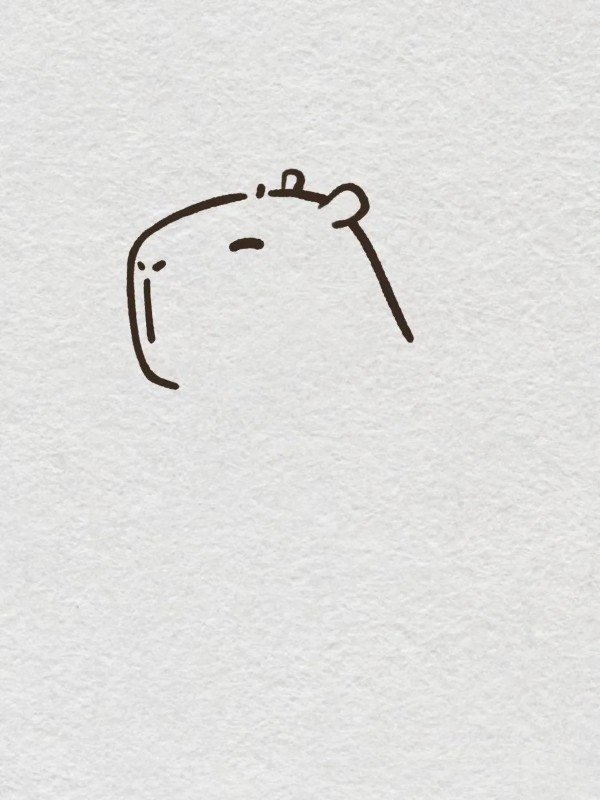 how to draw a cute capybara 2