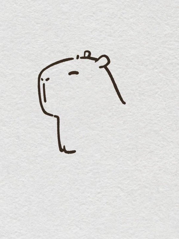how to draw a cute capybara 3