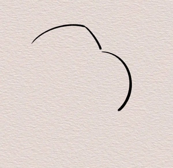 How to draw a capybara easy 1