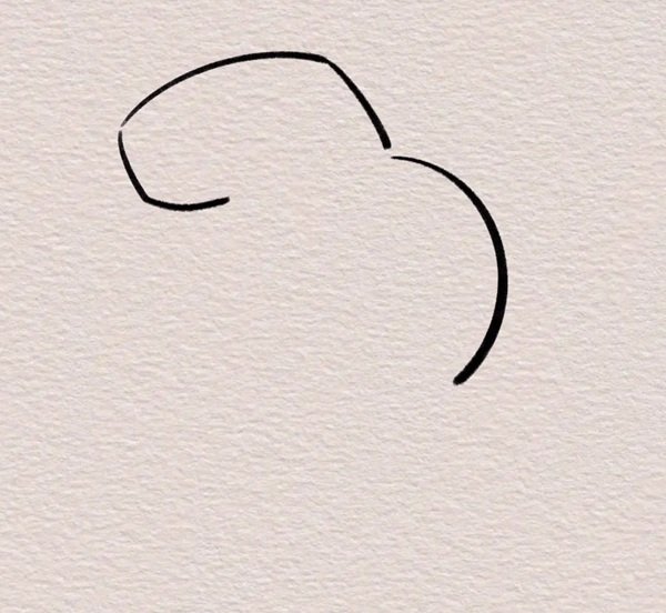How to draw a capybara easy 2