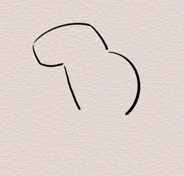 How to Draw a Capybara Easy 3