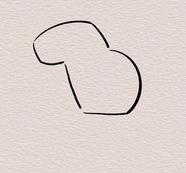 How to draw a capybara easy 4