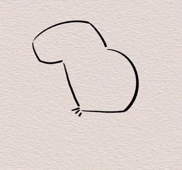 How to Draw a Capybara Easy 5