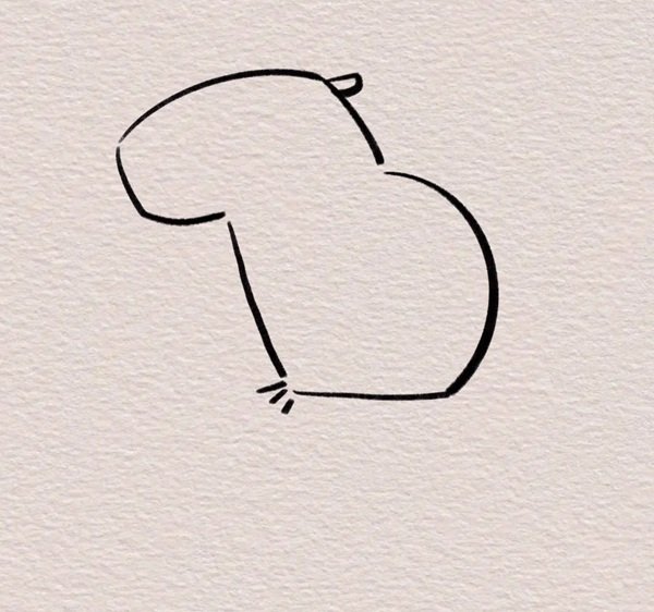 How to Draw a Capybara Easy 6