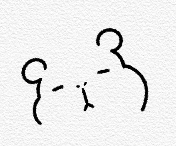 How to draw a capybara for kids 3