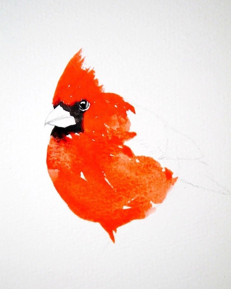 How to draw a cardinal bird 3