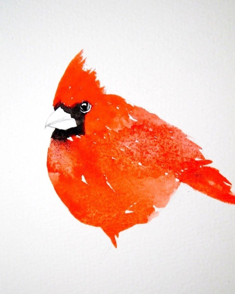 How to draw a cardinal bird 4