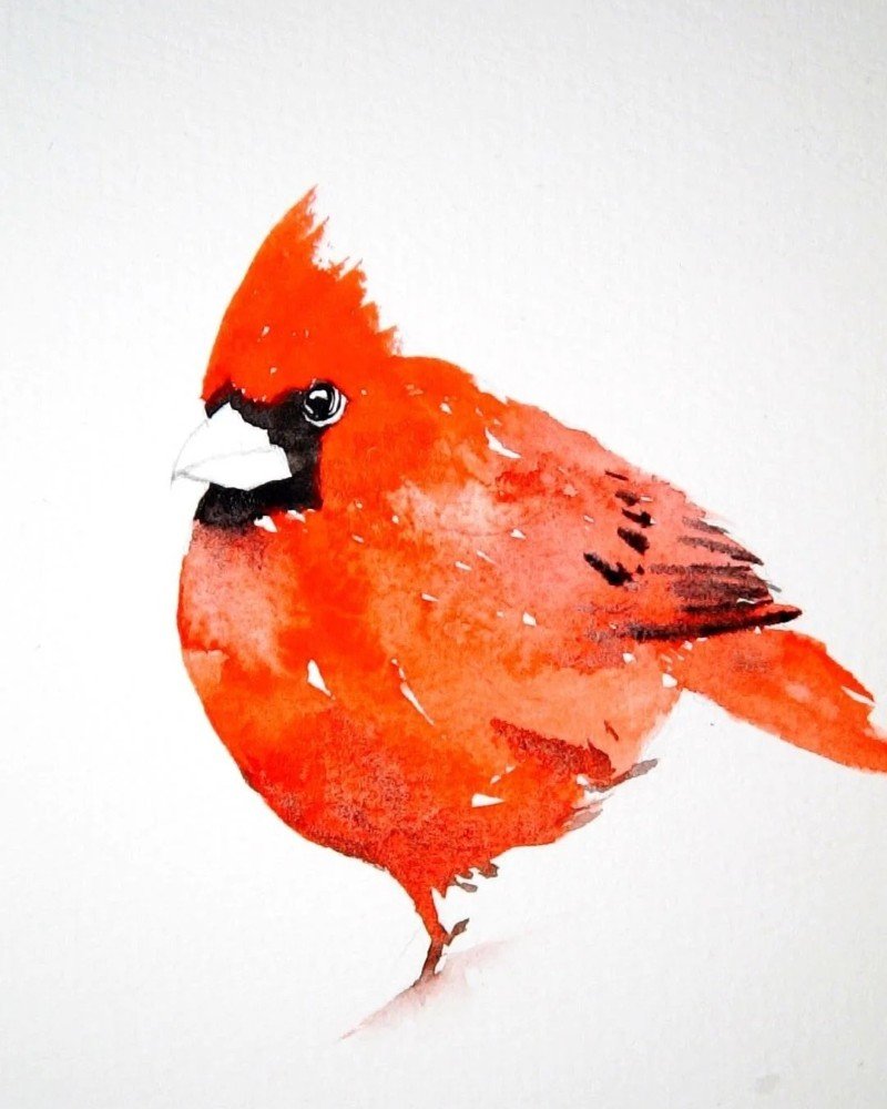 How to draw a cardinal bird 5
