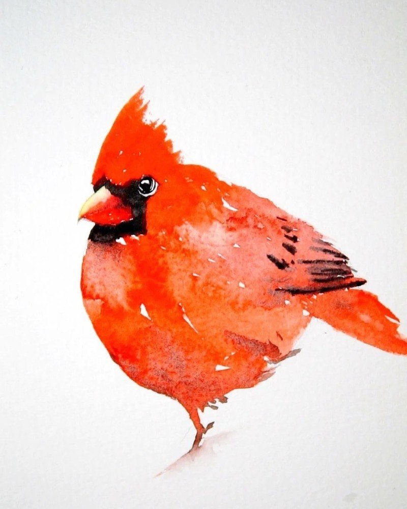 How to draw a cardinal bird 6