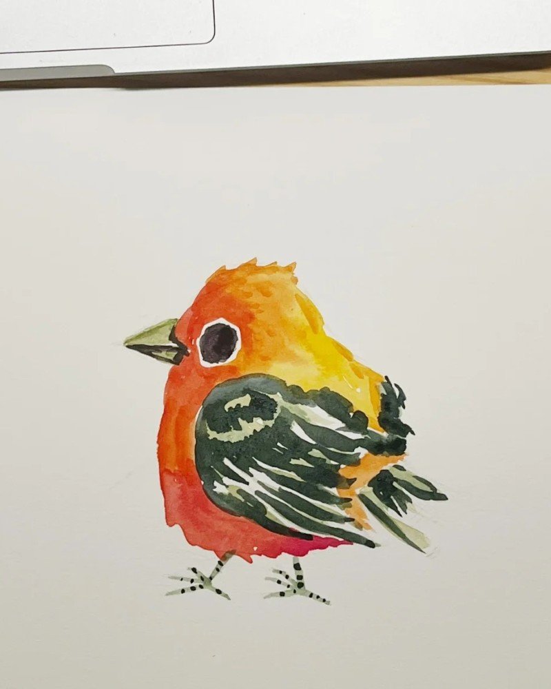 How to draw a cardinal bird cute 3