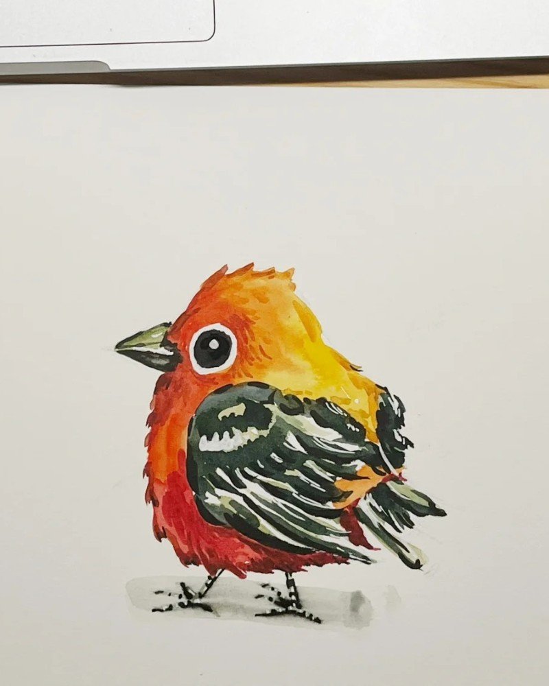 How to draw a cardinal bird cute