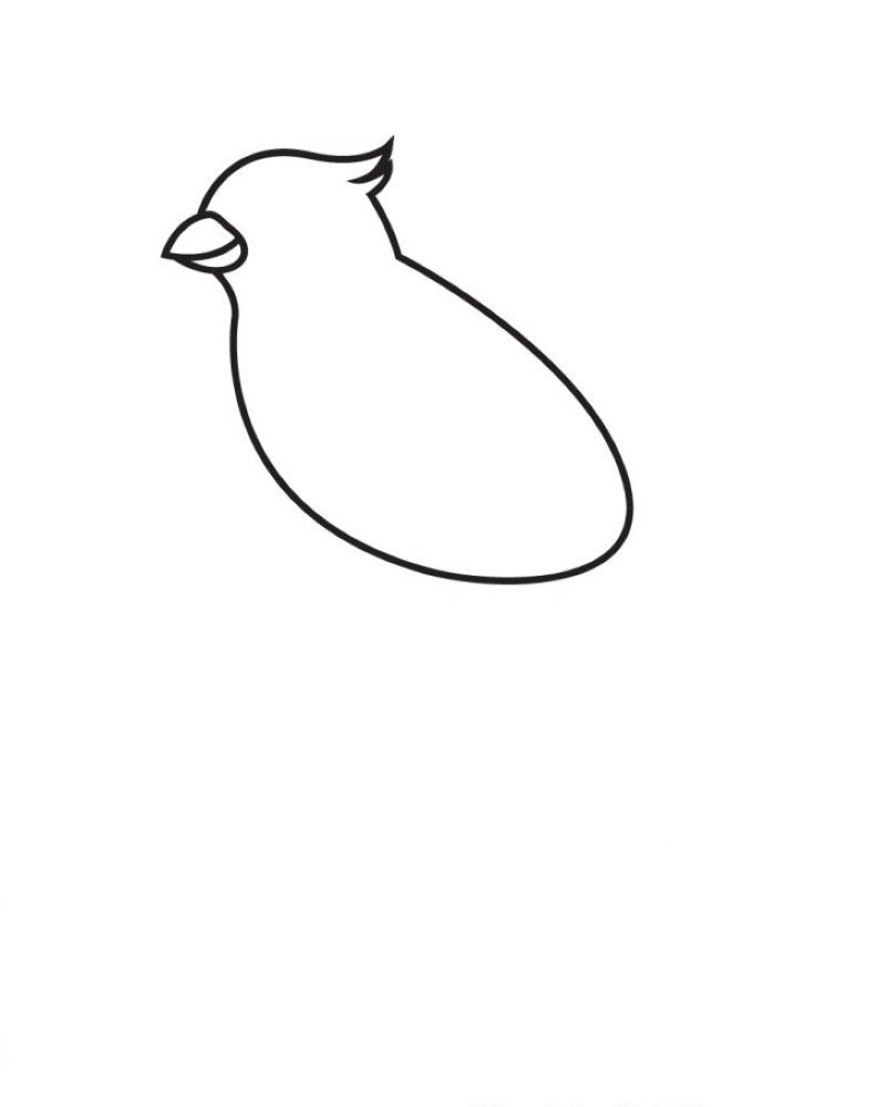 How to draw a cardinal bird easy 3