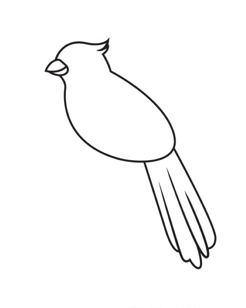 How to draw a cardinal bird easy 5