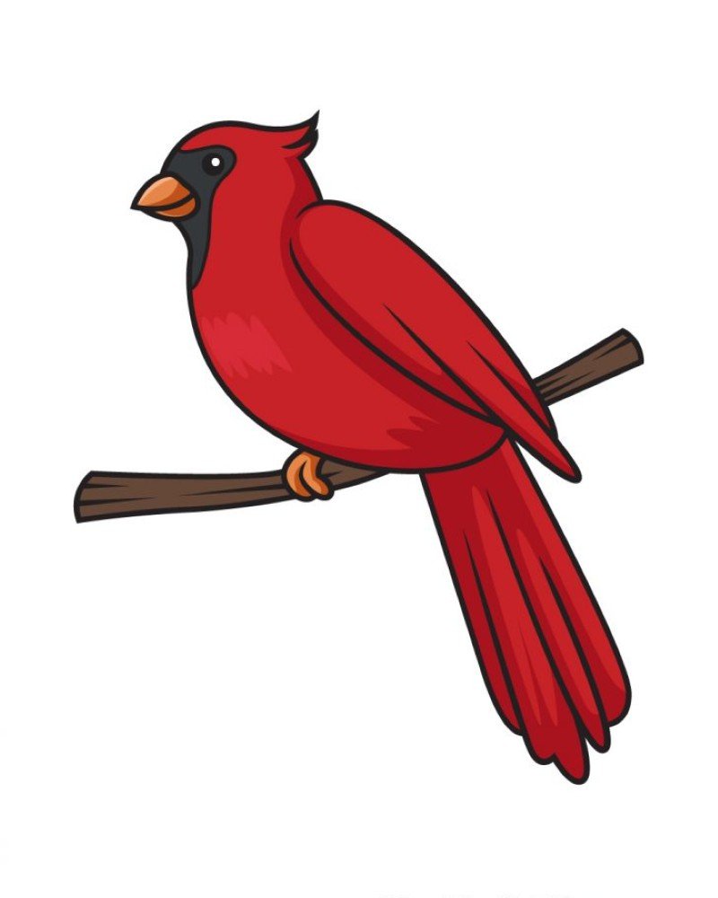 How to draw a cardinal bird easy
