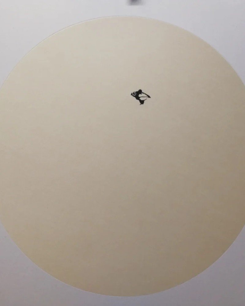How to draw a cardinal bird step by step 1