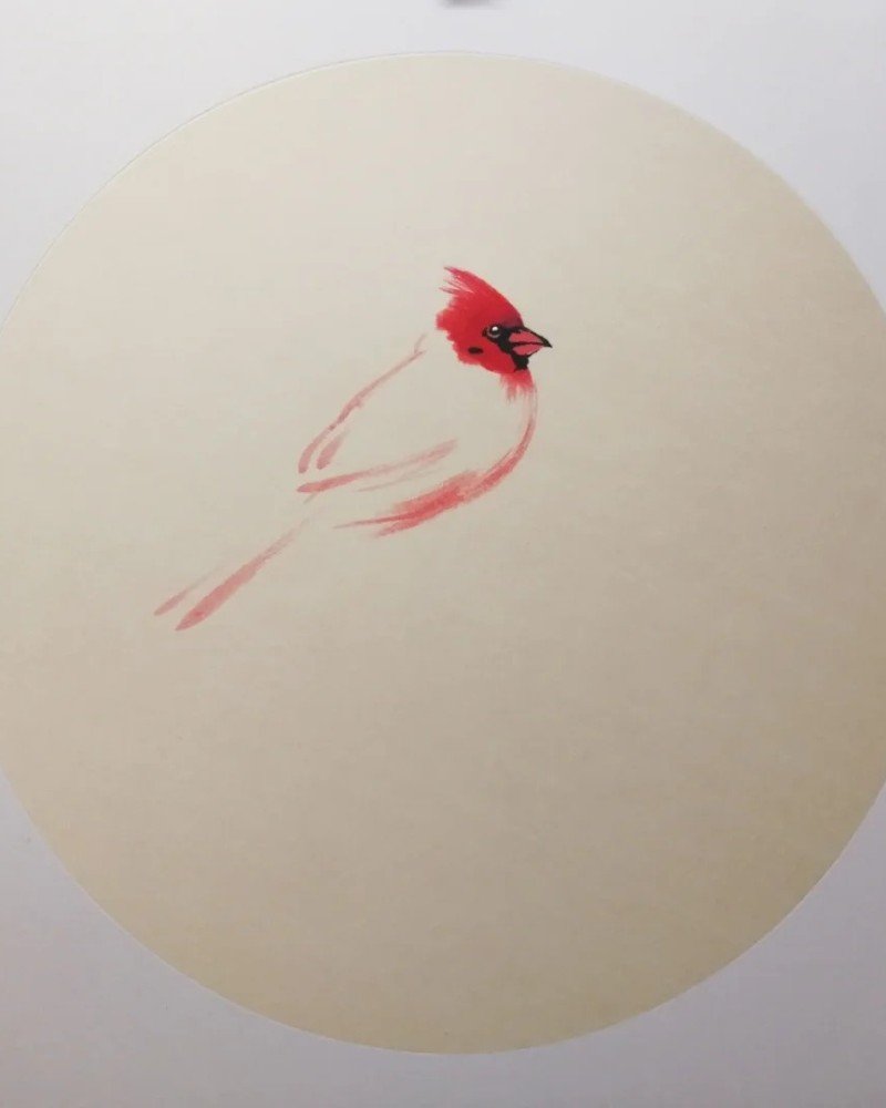 How to draw a cardinal bird step by step 2