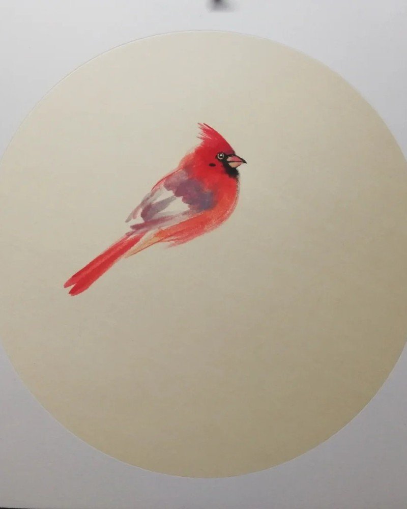 How to draw a cardinal bird step by step 3