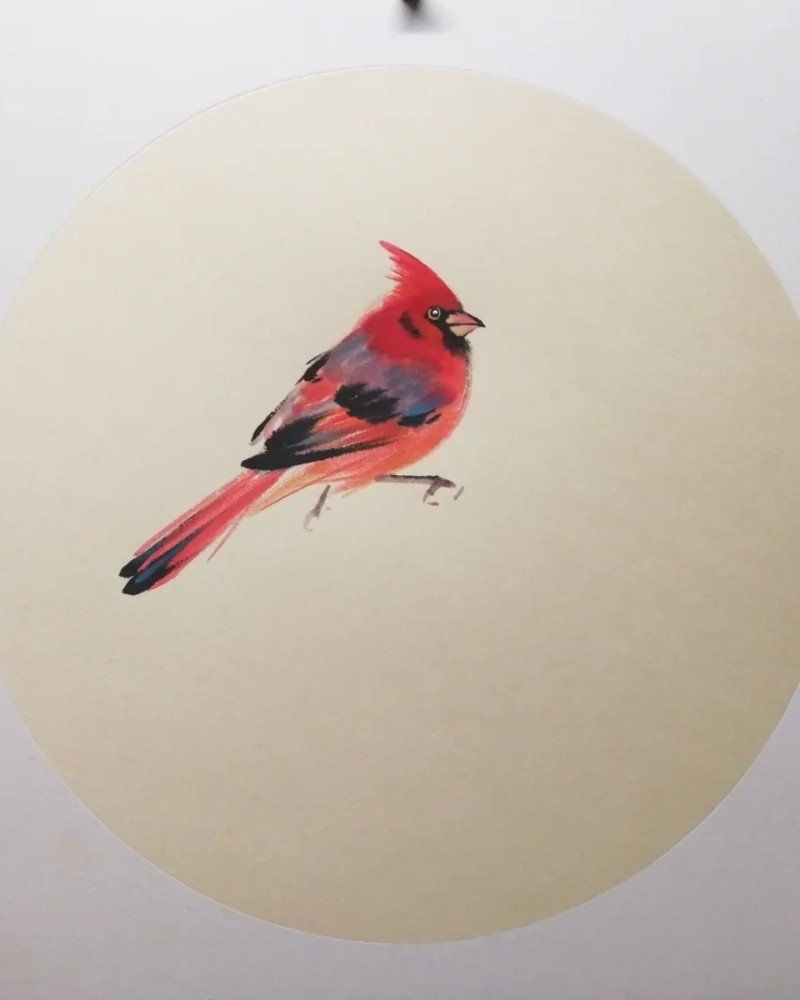 How to draw a cardinal bird step by step 4