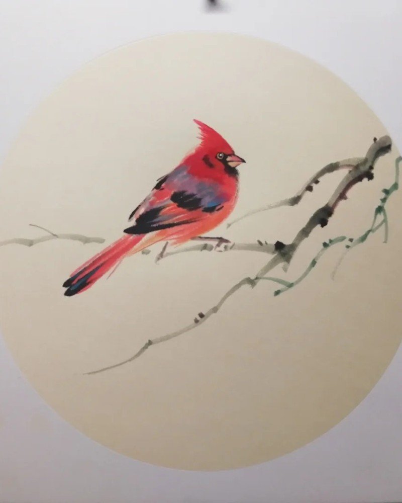 How to draw a cardinal bird step by step 5