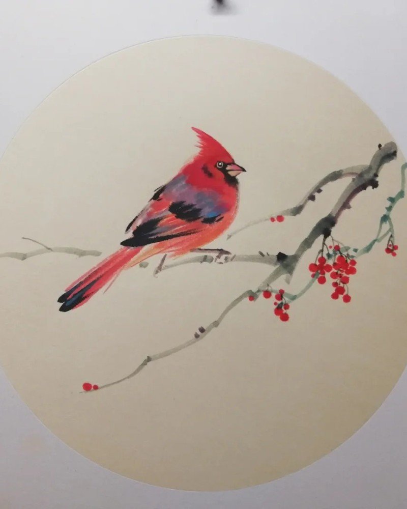 How to draw a cardinal bird step by step 