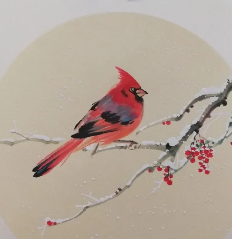 How to draw a cardinal bird step by step